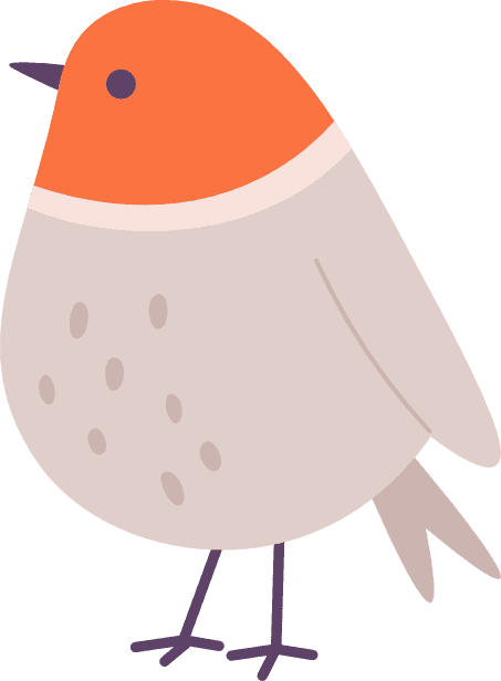 ArgyleRoad Bird